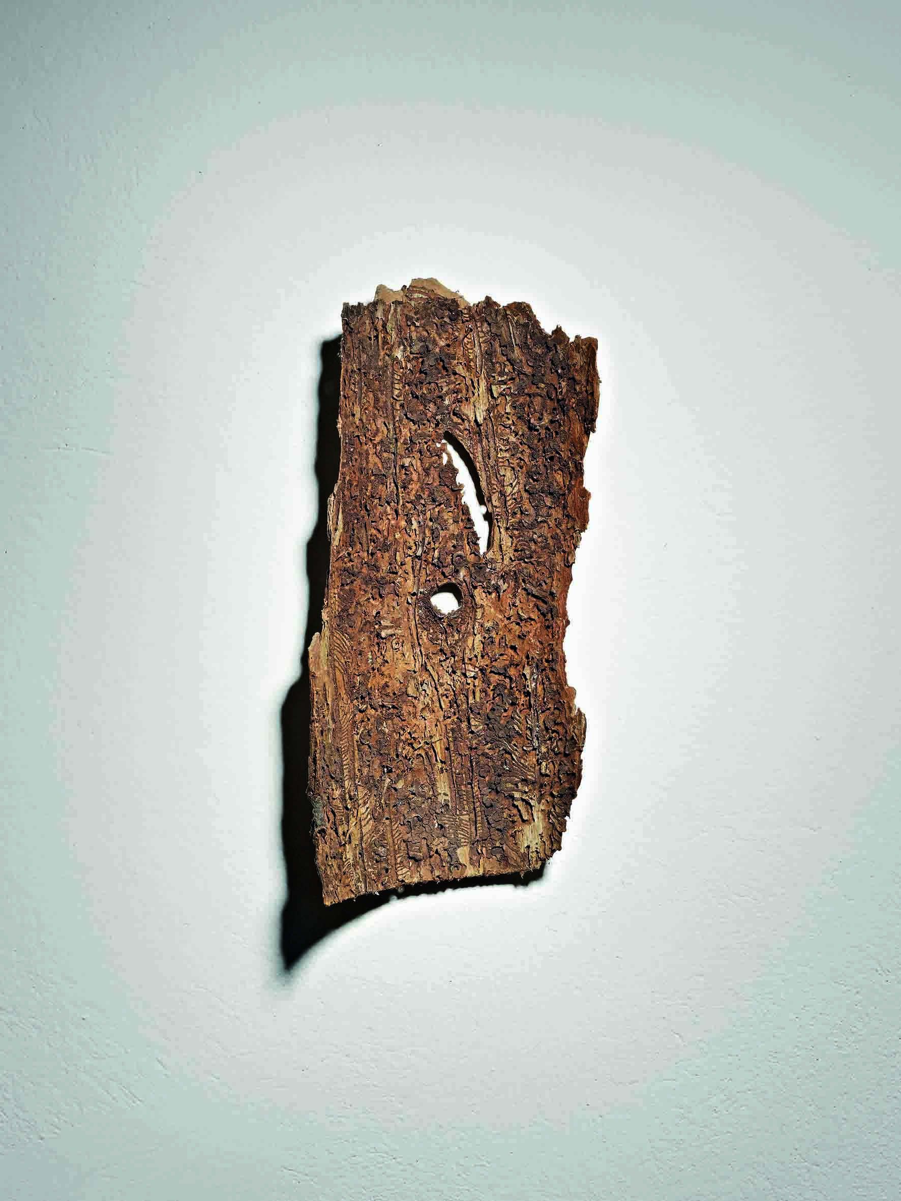 WALD Parasite art 46416