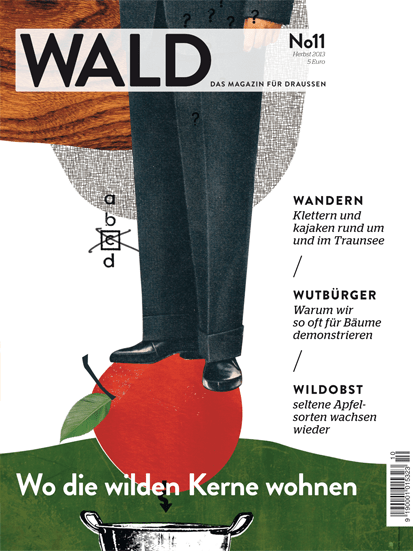 cover Wald11