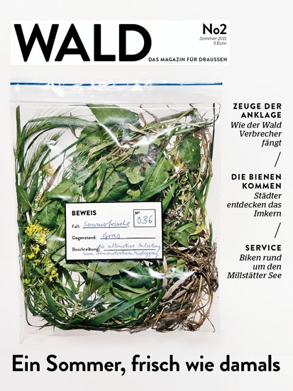 cover wald2