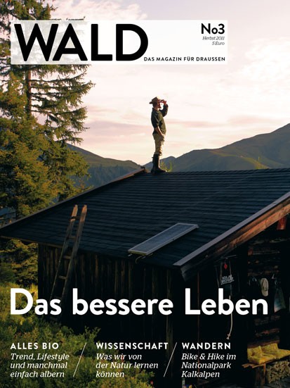 cover wald3