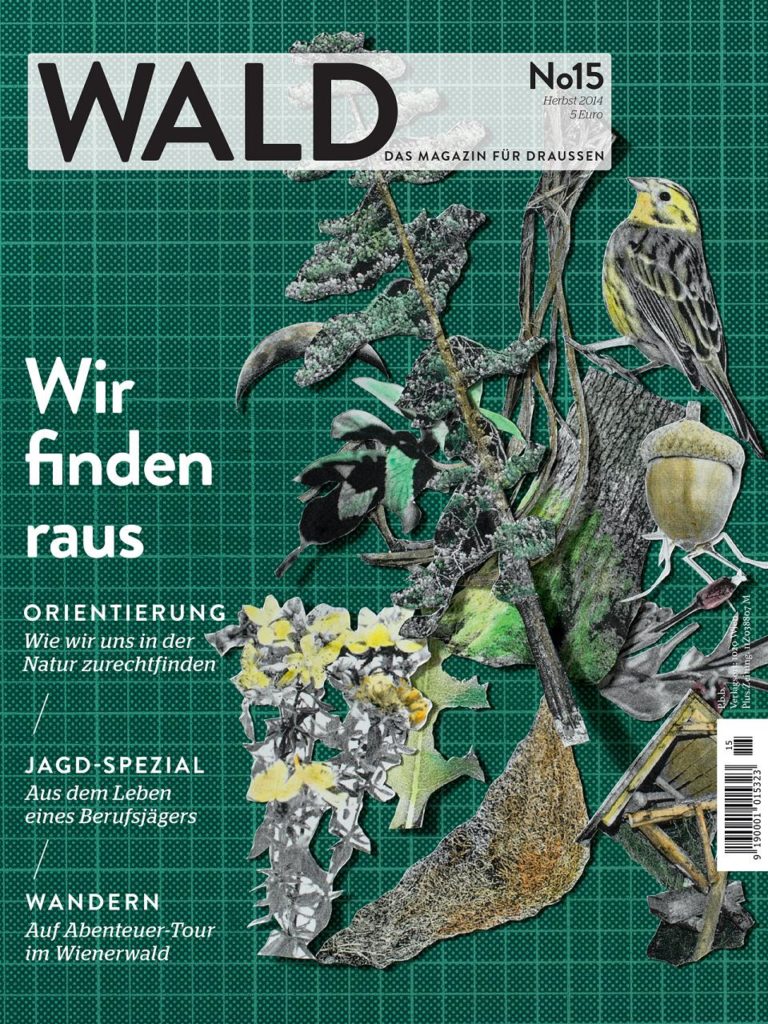 wald15 cover small