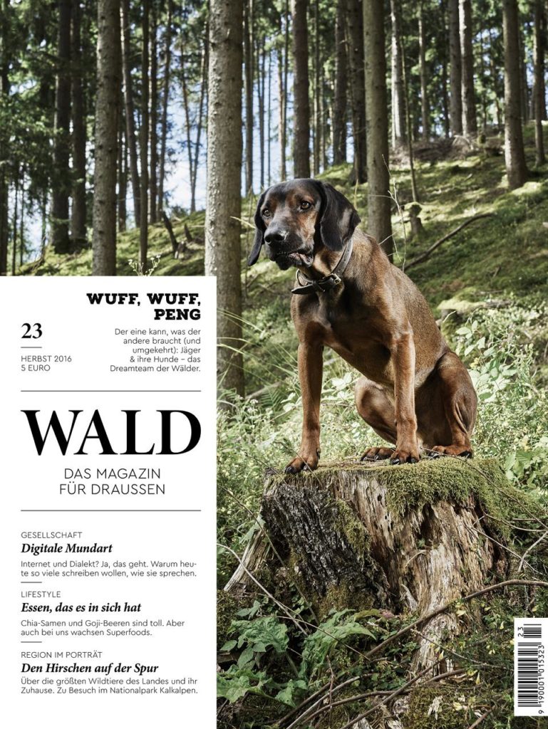 wald23 cover small