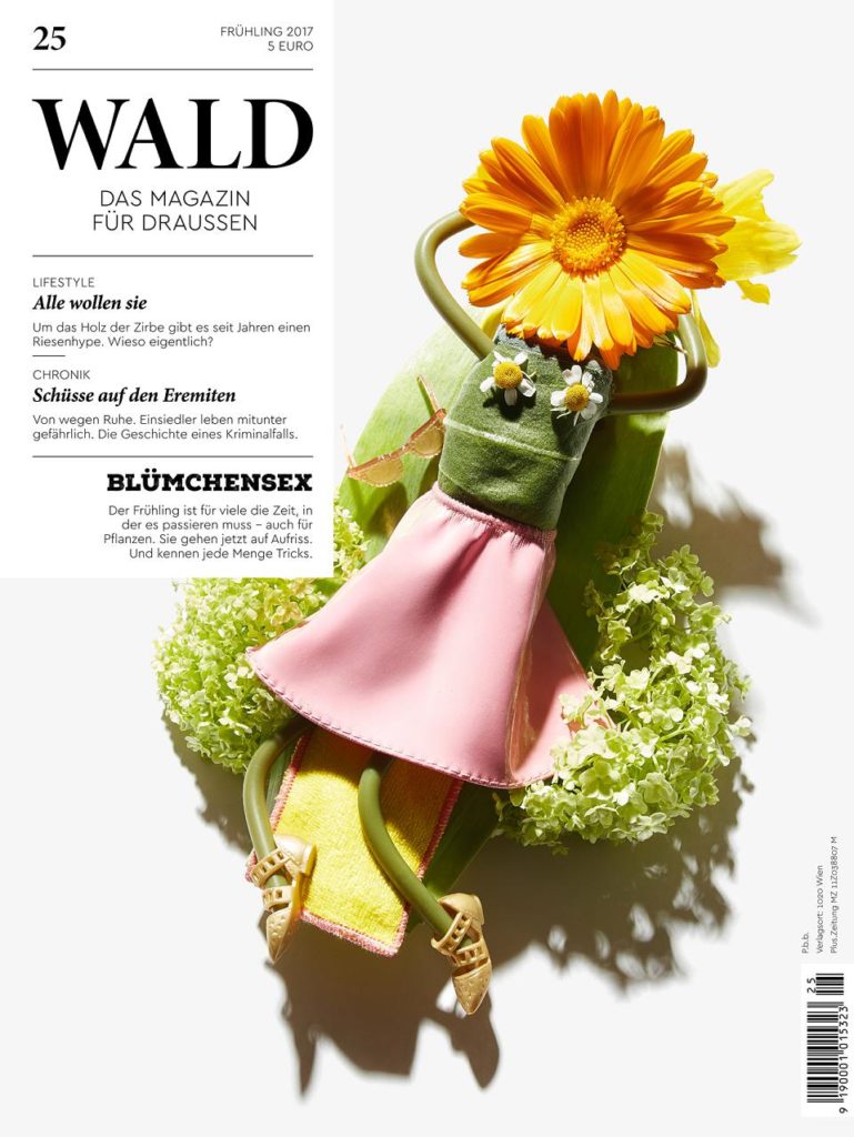 wald25 cover small