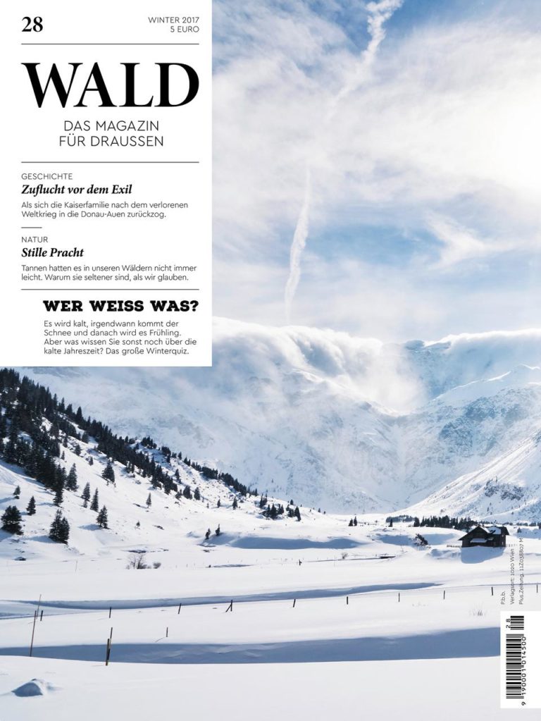 wald28 cover small