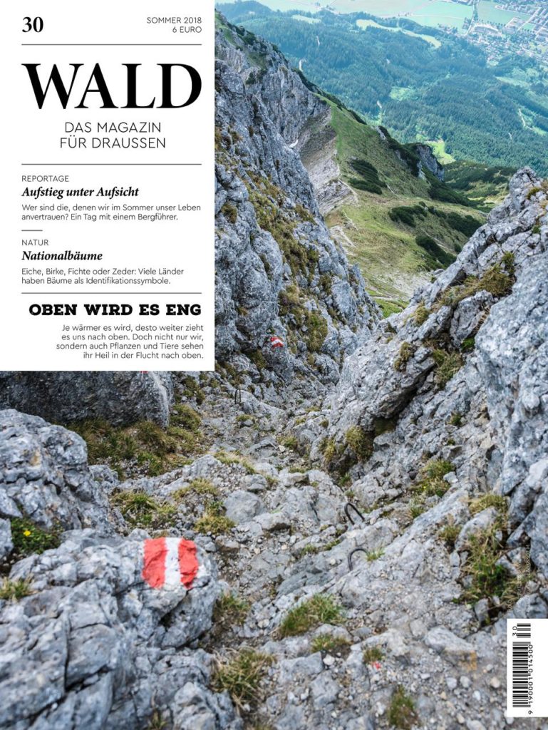wald30 cover small