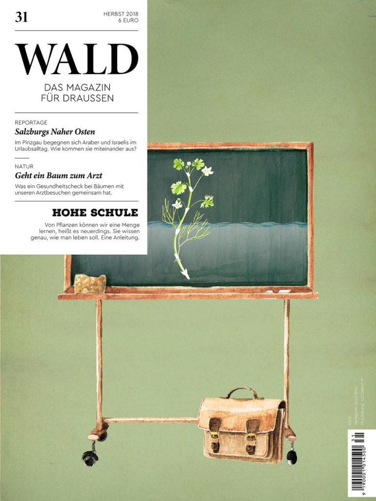 wald31 cover small