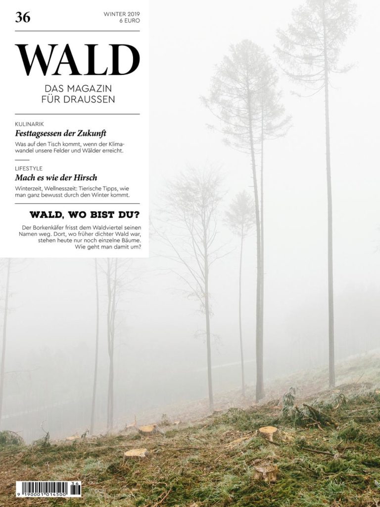 wald36 cover small