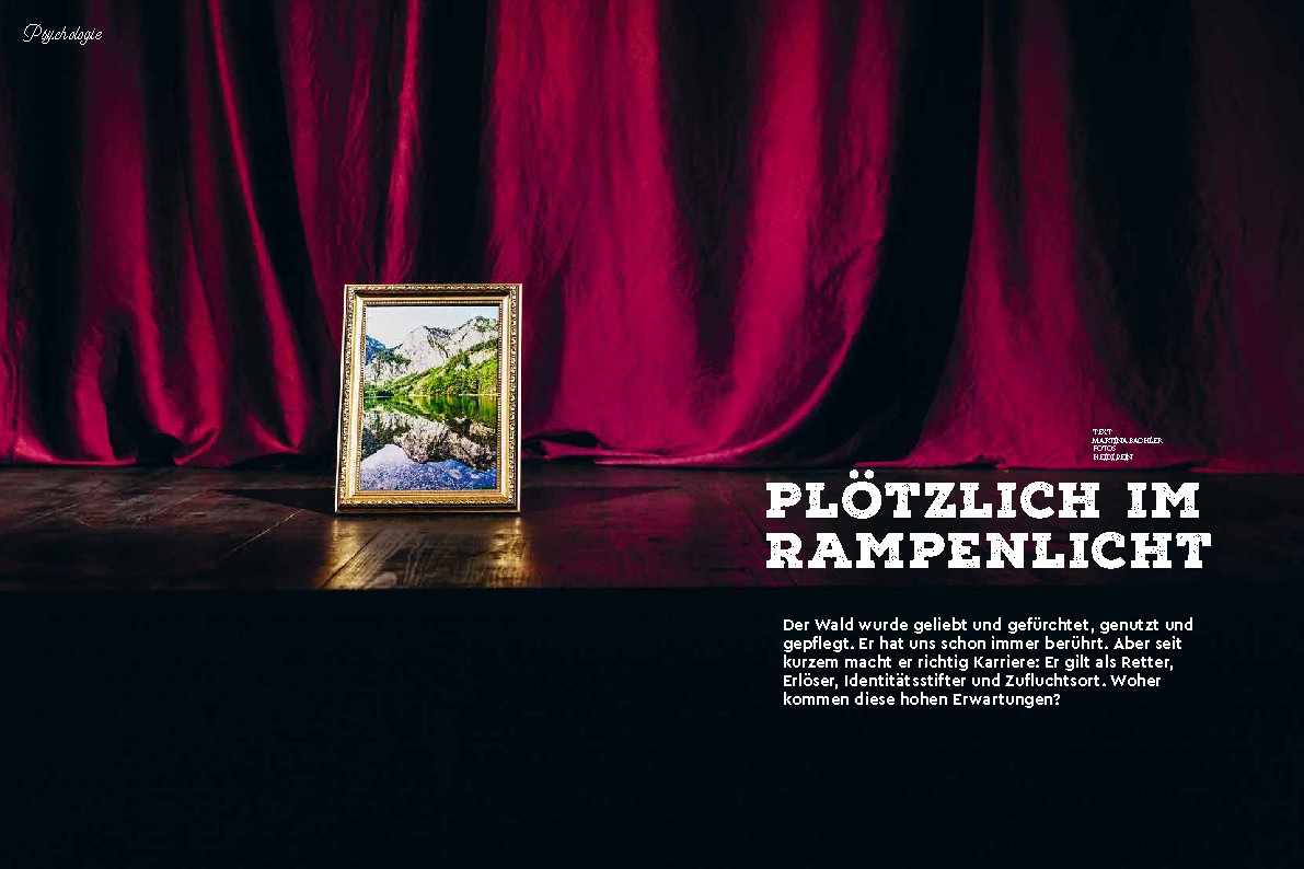 wald37 rampenlicht 00