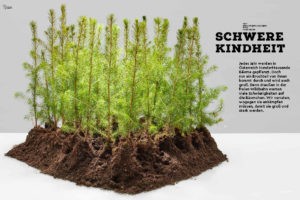 wald37 schwere kindheit 00