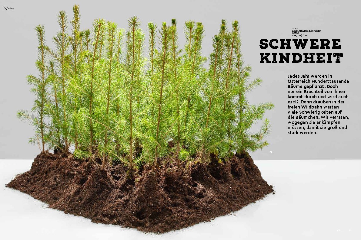 wald37 schwere kindheit 00