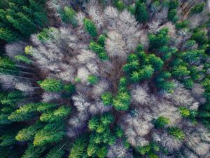 aerial view 1344591 1280