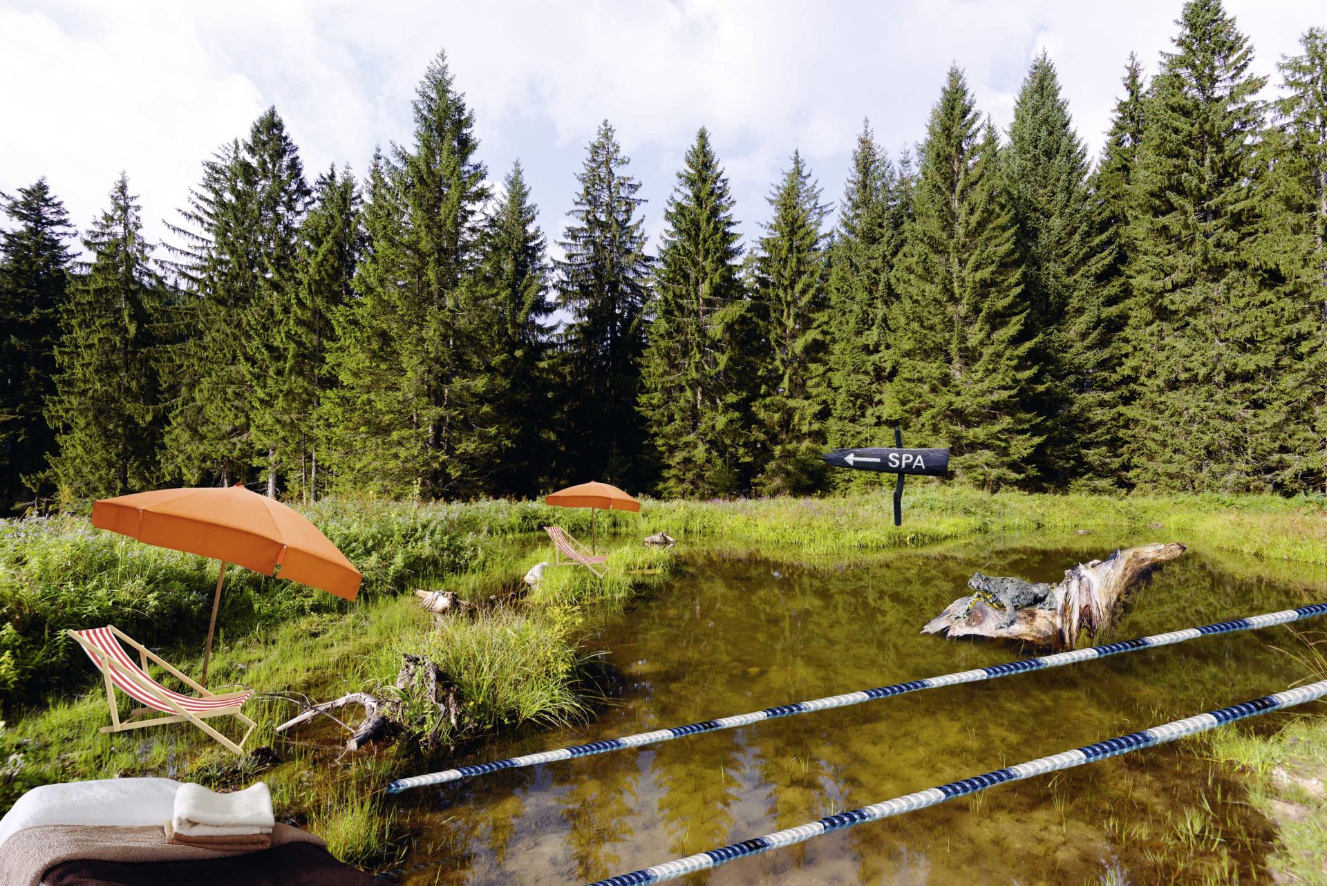 wald collage tuempel scaled