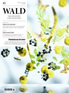 01 wald45 cover web