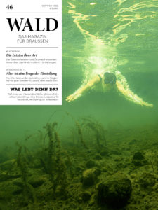 01_wald46_cover
