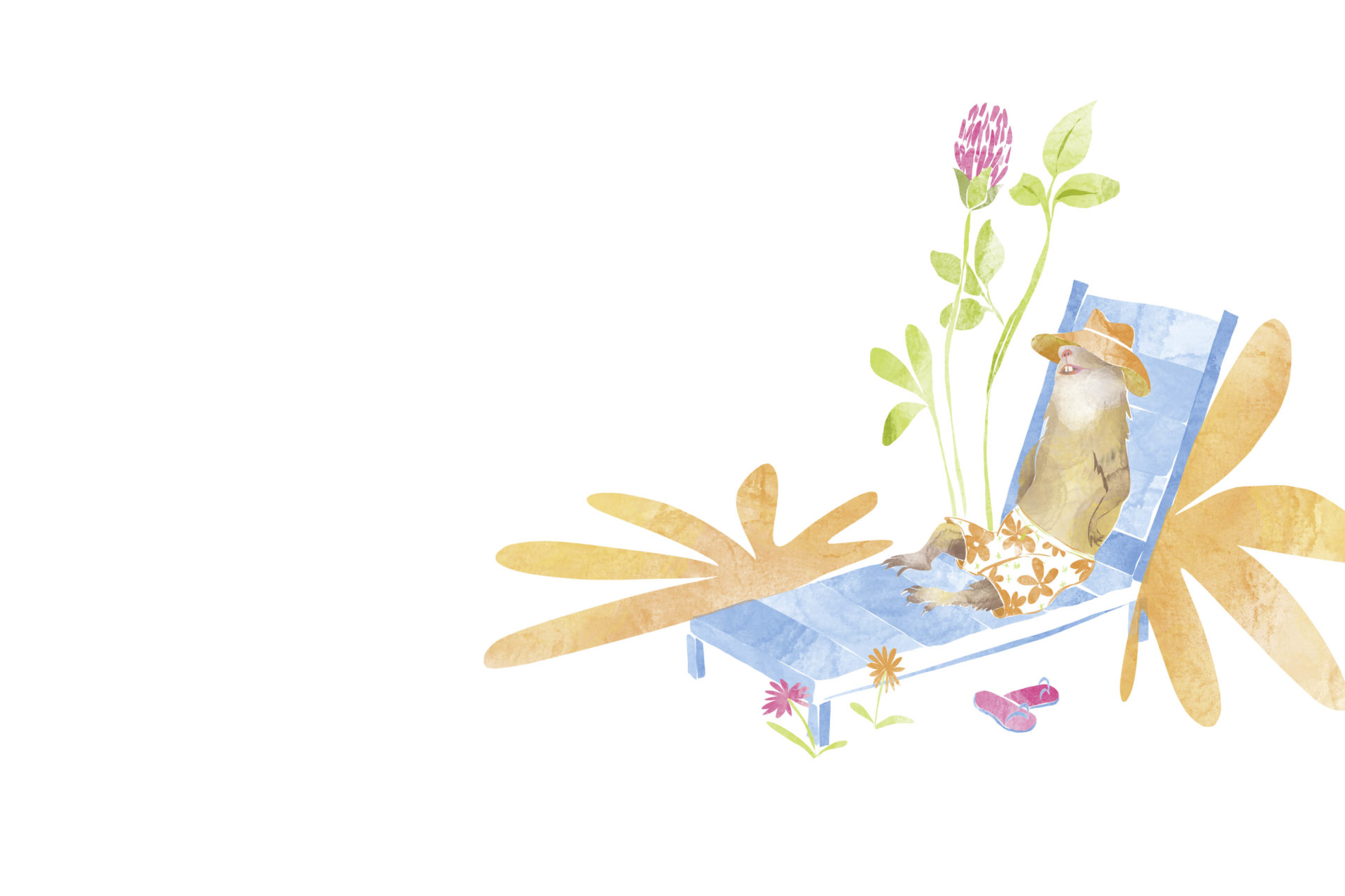 aufmacher ohne text scaled