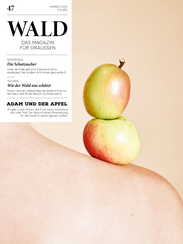 01 wald47 cover