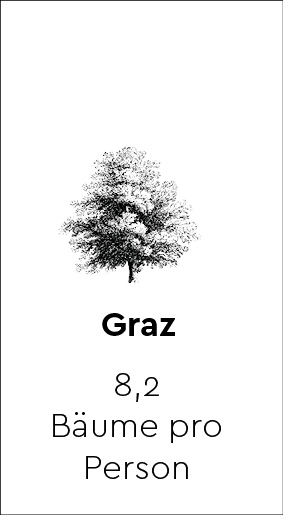 50 Mal Kälte 8 illu_baum_graz