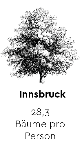50 Mal Kälte 10 illu_baum_innsbruck