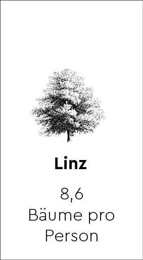 50 Mal Kälte 9 illu_baum_linz