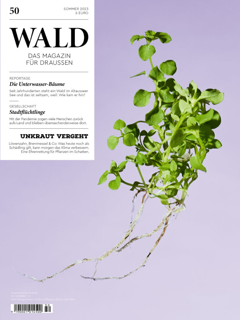 wald50 cover