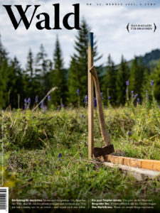 wald51 cover
