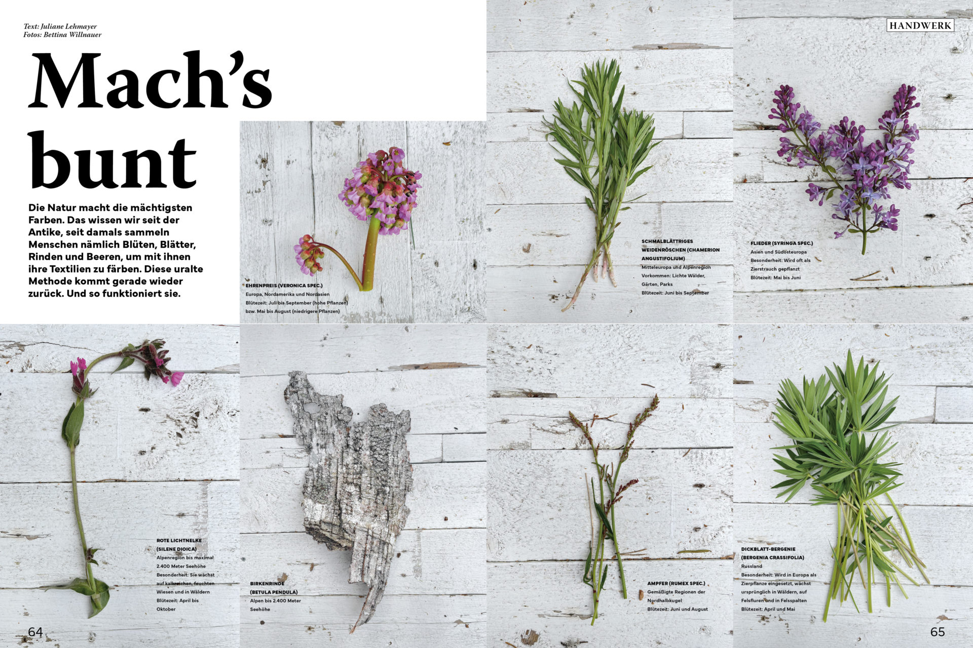 wald53 naturfarbstoffeRedMH