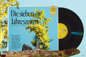 wald53 neuen jahreszeiten