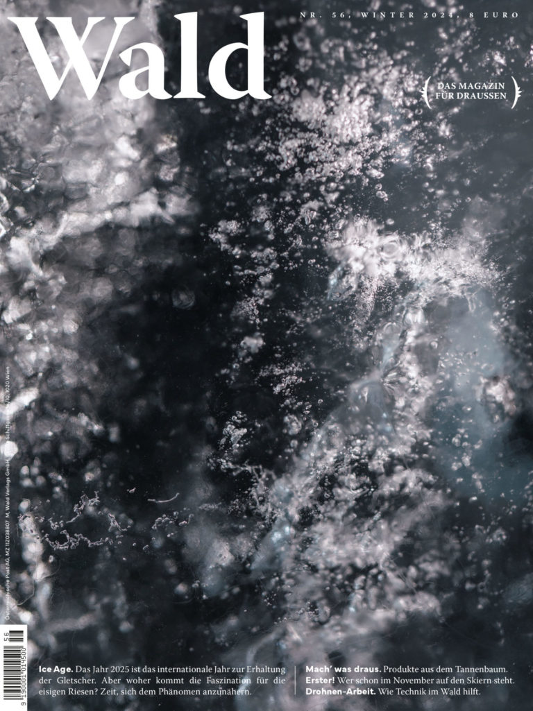 Magazin 2 Cover des Wald 56 Ice Age Winter Ausgabe mit einer Nahaufnahme der Eisschicht eines Gletschers in Grautönen
