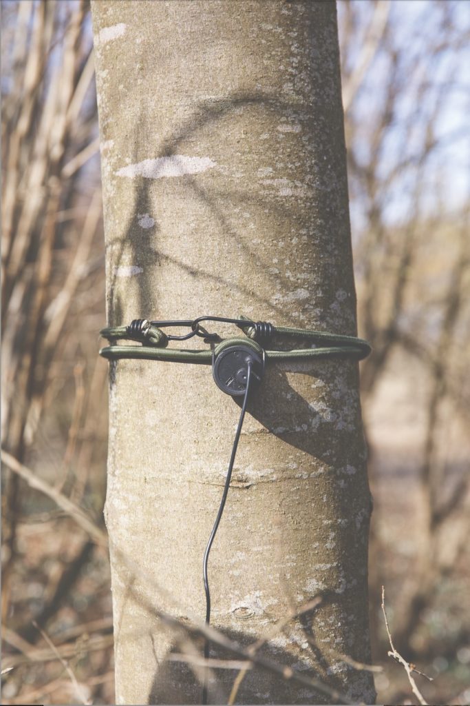 Auf der Suche nach dem Frühling 1 Saftrauschen web