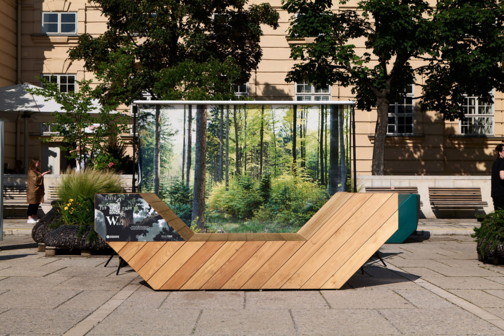 wald L1020153