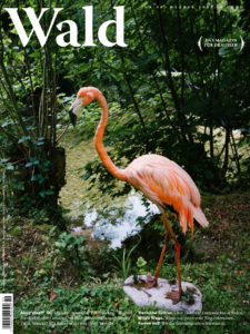 Home 1 Andersartig: Cover vom Wald Magazin 58 Herbstausgabe mit einem Flamingo