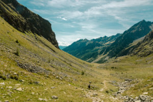 Trampelpfade Ab durch die Mitte Wald 59 Herbst