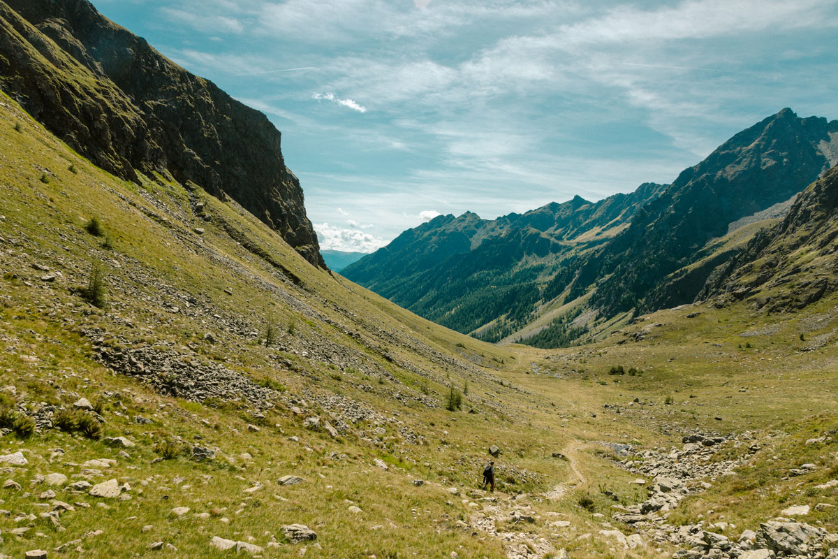 Trampelpfade Ab durch die Mitte Wald 59 Herbst