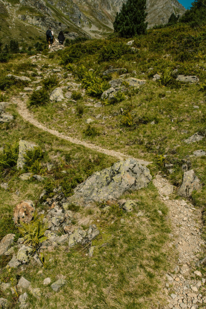 Trampelpfade – Wald 59 4 Trampelpfade Ab durch die Mitte Wald 59 Herbst