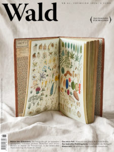 00 Wald61 Cover 02 small