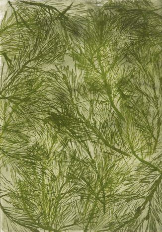 Mittel 12 dezember2026