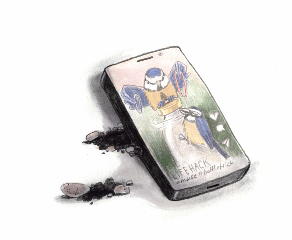 Maise monikaernst 01