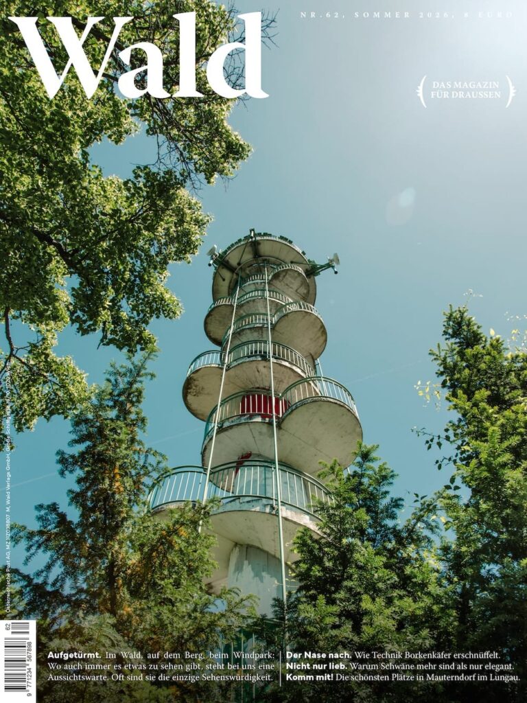 Cover von Wald #62 - Sommer 2026
