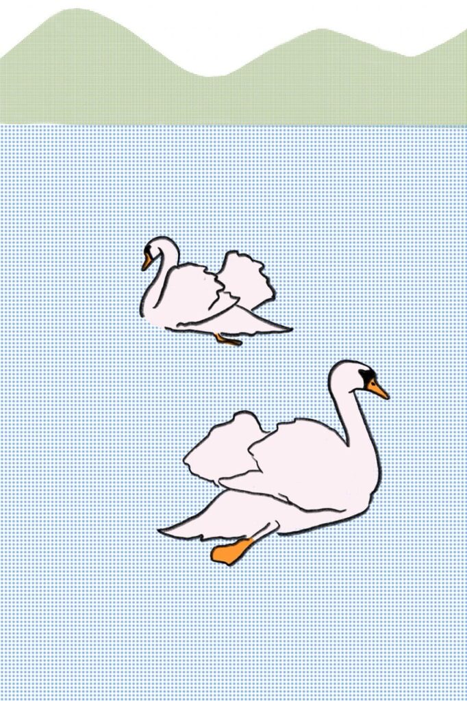 Gross Schwan2