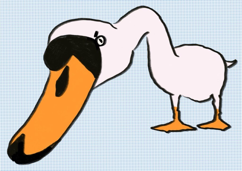Gross Schwan3