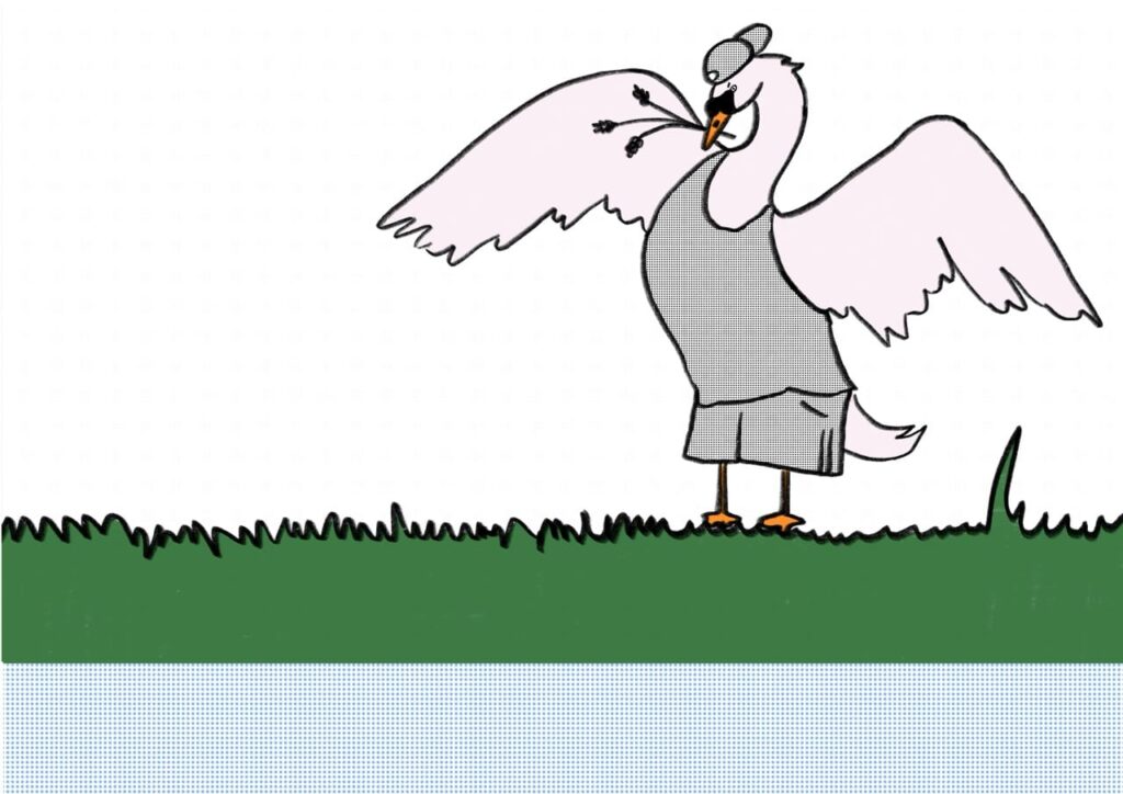 Gross Schwan5